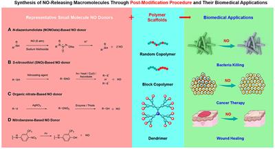 Nitric Oxide (NO)-Releasing Macromolecules: Rational Design and Biomedical Applications